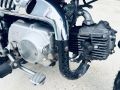 Picture of HONDA Z50 MONKEY 1985 BLACK - FULLY AUSTRALIAN COMPLIANT - CAN BE ROAD REGISTERED